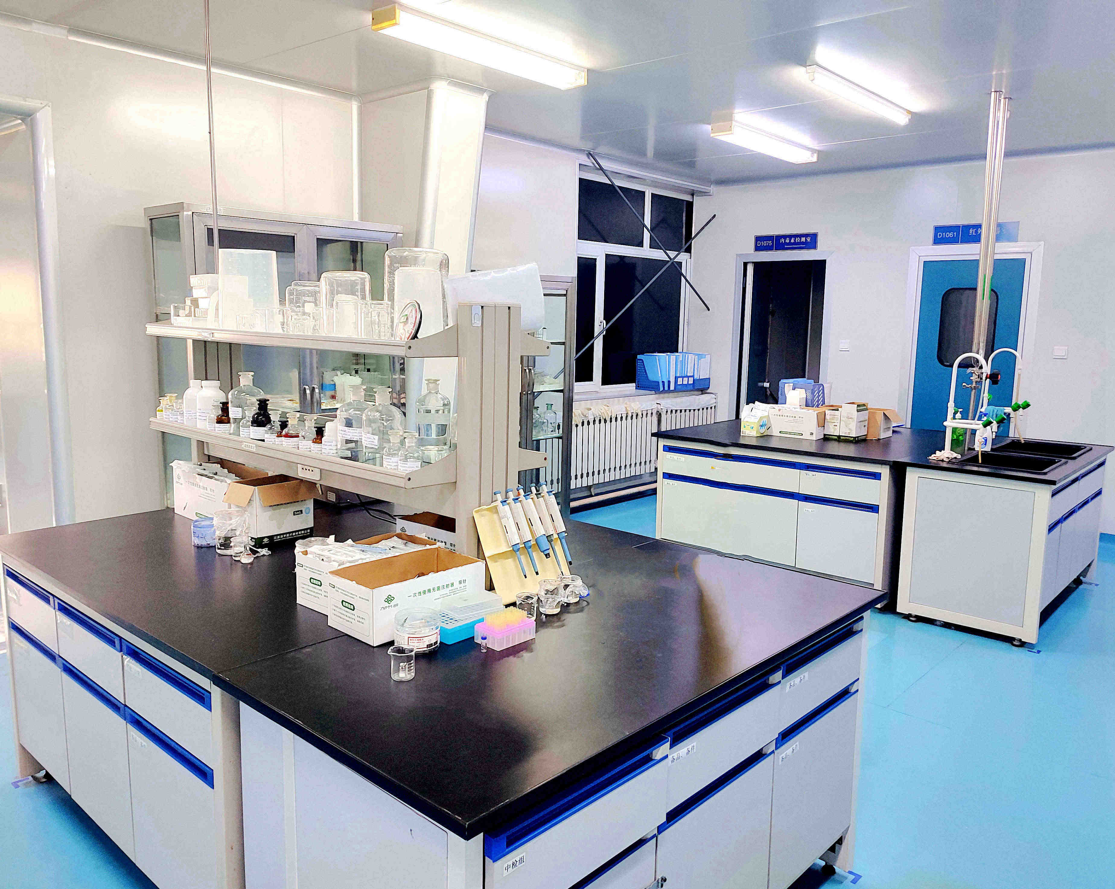 星空web版登录入口